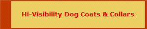 Hi-Visibility Dog Coats & Collars