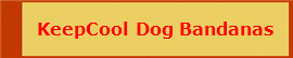 Keep Cool Neck Scarf